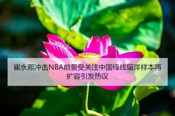 崔永熙冲击NBA前景受关注中国锋线留洋样本再扩容引发热议