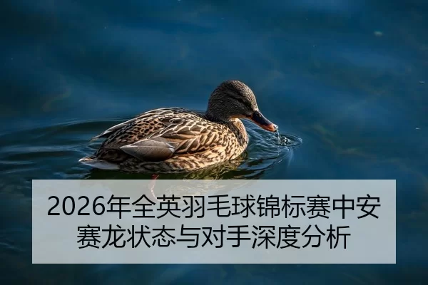 nian-quan-ying-yu-mao-qiu-jin-biao-sai-zhong-an-sai-long-zhuang-tai-yu-dui-shou-shen-du-fen-xi-2-809.jpg