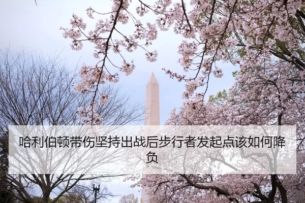 哈利伯顿带伤坚持出战后步行者发起点该如何降负
